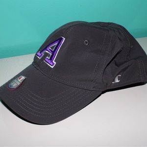 Champion Athleticware Albion College Hat